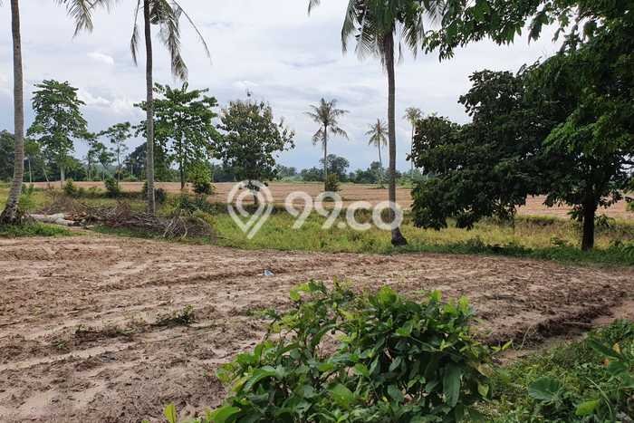 Lahan untuk Dijual Lokasi Natar, Lampung Selatan Luas 90000m2 SHM Lahan untuk Dijual Lokasi Natar, Lampung Selatan Luas 90000m2 SHM