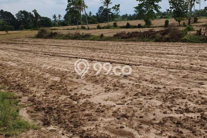 Lahan untuk Dijual Lokasi Natar, Lampung Selatan Luas 90000m2 SHM Lahan untuk Dijual Lokasi Natar, Lampung Selatan Luas 90000m2 SHM