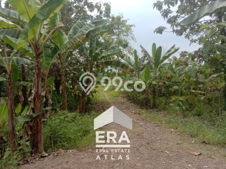 Lahan Dijual Lokasi Strategis di Semarang dengan Luas 138m2 Lahan Dijual Lokasi Strategis di Semarang dengan Luas 138m2