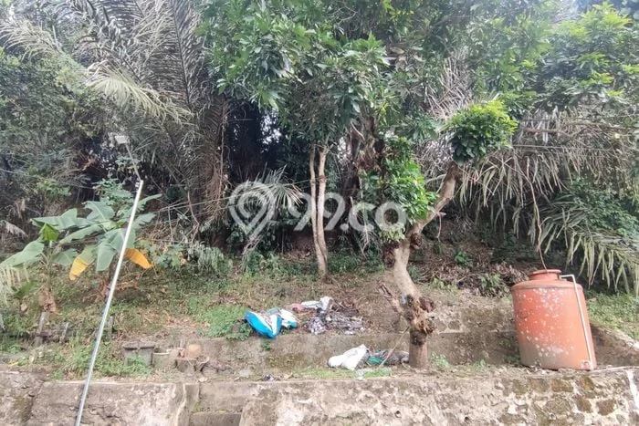 Disewakan Cepat Rumah Kondisi Bagus di Kawasan Samarinda Ulu, Samarinda Disewakan Cepat Rumah Kondisi Bagus di Kawasan Samarinda Ulu, Samarinda