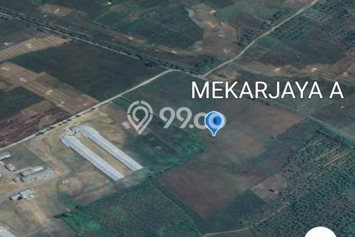 Di Jual Tanah Dekat Mekarjaya Cocok Dibangun Perumahan , Majalengka Jawa Barat Di Jual Tanah Dekat Mekarjaya Cocok Dibangun Perumahan , Majalengka Jawa Barat
