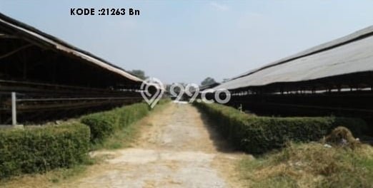 Dijual Tanah di Bekasi, Luas 56000m2 - Dijual Tanah di Bekasi, Luas 56000m2 -