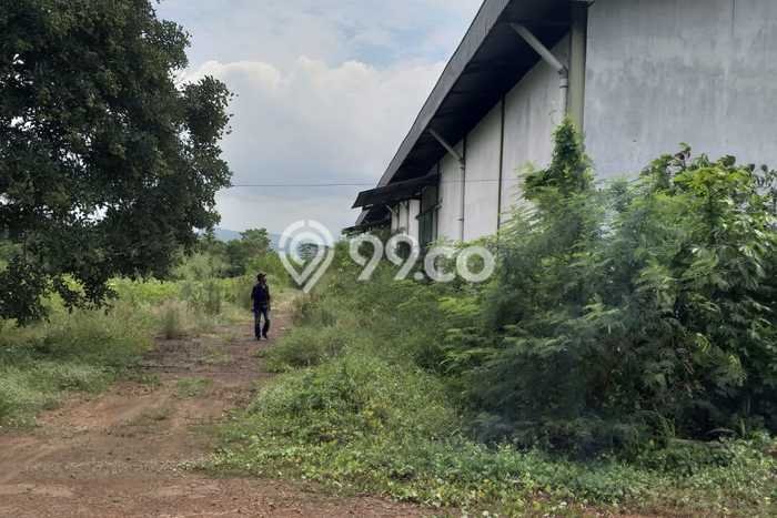 Unit Gudang Dijual di Subang Subang Luas Tanah 13m2, Luas Bangunan 6000m2 Unit Gudang Dijual di Subang Subang Luas Tanah 13m2, Luas Bangunan 6000m2