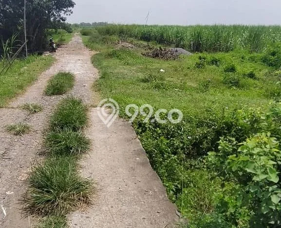 Kavling Tanah Dijual di Kesamben, Jombang, Luas 4615m2 Area Strategis Kavling Tanah Dijual di Kesamben, Jombang, Luas 4615m2 Area Strategis