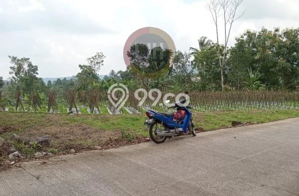Lahan untuk Dijual Lokasi Bojong, Tegal Luas 4160m2 - Lahan untuk Dijual Lokasi Bojong, Tegal Luas 4160m2 -