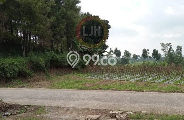 Lahan untuk Dijual Lokasi Bojong, Tegal Luas 4160m2 - Lahan untuk Dijual Lokasi Bojong, Tegal Luas 4160m2 -