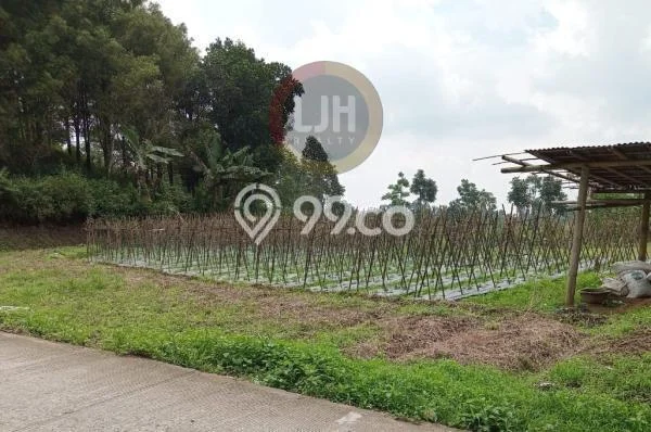 Lahan untuk Dijual Lokasi Bojong, Tegal Luas 4160m2 - Lahan untuk Dijual Lokasi Bojong, Tegal Luas 4160m2 -