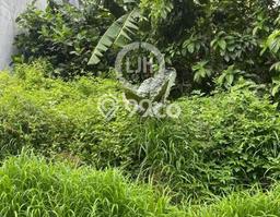 Kavling Tanah di Bukit Sari Dijual Luas 194m2 Legalitas SHM Kavling Tanah di Bukit Sari Dijual Luas 194m2 Legalitas SHM