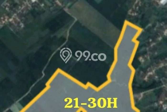 Tanah Dijual Lokasi Ngawi, Ngawi Luas 300000m2 Legalitas Aman Tanah Dijual Lokasi Ngawi, Ngawi Luas 300000m2 Legalitas Aman