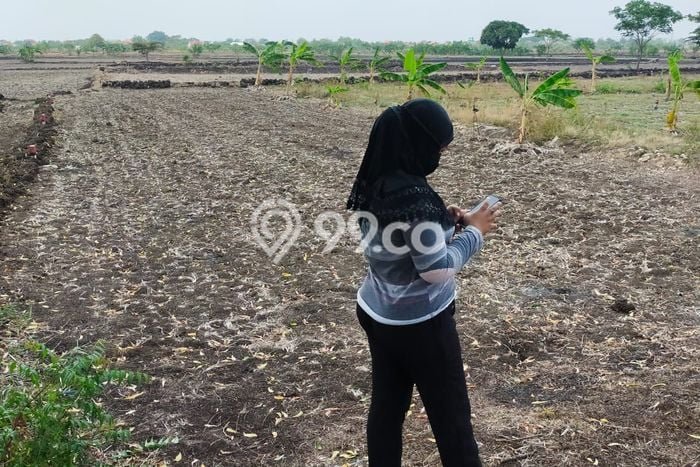 Tanah Kavling untuk Dijual di Balongpanggang Gresik 200m2 Tanah Kavling untuk Dijual di Balongpanggang Gresik 200m2