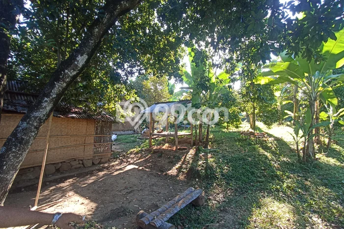 Tanah di Sukasada, Buleleng Luas 3790m2 Dijual Segera Tanah di Sukasada, Buleleng Luas 3790m2 Dijual Segera