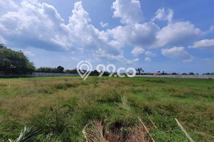 Tanah Kavling di Cilacap Utara Cilacap Disewakan dengan Luas 15000m2 Tanah Kavling di Cilacap Utara Cilacap Disewakan dengan Luas 15000m2