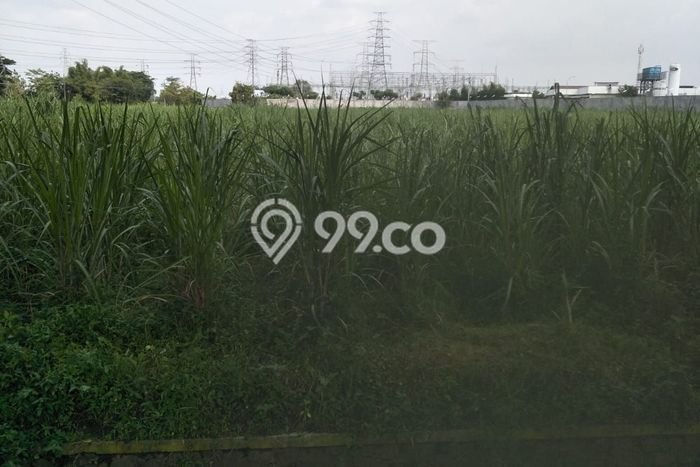 Tanah Kavling Dijual di Kediri, Kediri dengan Luas Tanah 19300m2 Tanah Kavling Dijual di Kediri, Kediri dengan Luas Tanah 19300m2