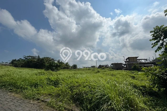 Tanah Dijual Area Strategis di Beraban Tabanan 2100m2 Tanah Dijual Area Strategis di Beraban Tabanan 2100m2