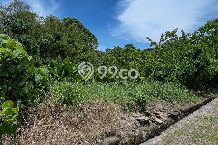 Tanah Dijual di Badung Seluas 211m2 Strategis Tanah Dijual di Badung Seluas 211m2 Strategis