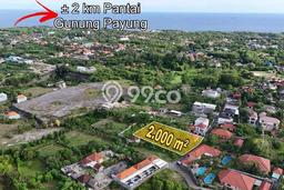Tanah Kavling Dijual di Badung dengan Spesifikasi 2000m2 Tanah Kavling Dijual di Badung dengan Spesifikasi 2000m2