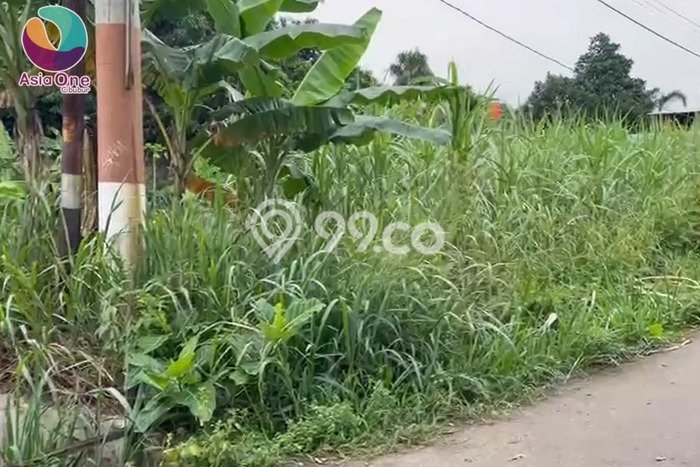 Kavling Tanah untuk Dijual di Ciangsana, Bogor, Luas 850m2 Kavling Tanah untuk Dijual di Ciangsana, Bogor, Luas 850m2