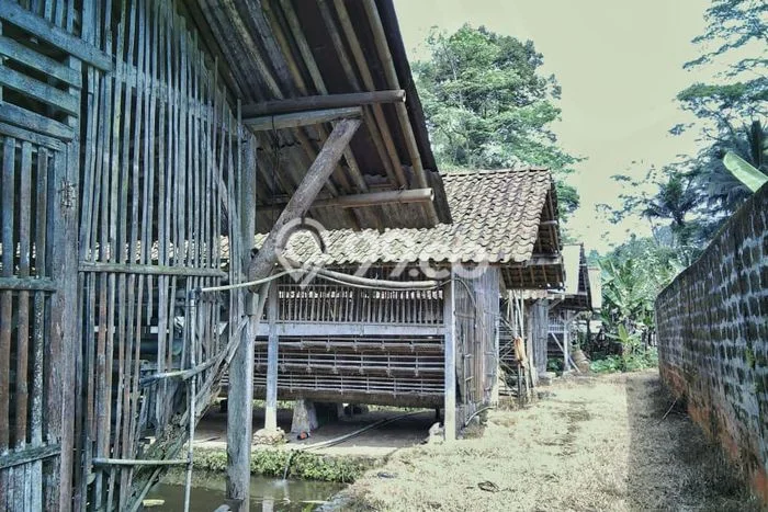 Komersial Dijual di Banyumas LT 7493m2 & LB 100m2 Lokasi Terbaik! Komersial Dijual di Banyumas LT 7493m2 & LB 100m2 Lokasi Terbaik!