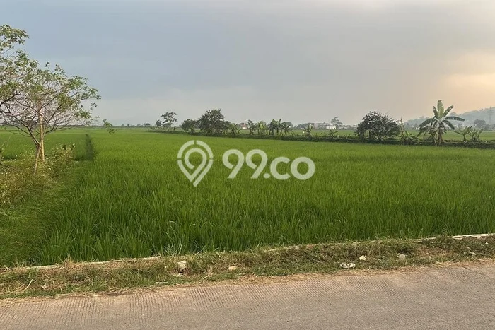 Jarang Ada! Tanah di Ciparay Punya Luas 6620m2 SHM Jarang Ada! Tanah di Ciparay Punya Luas 6620m2 SHM