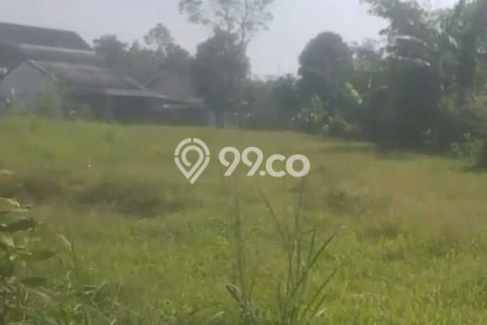Kavling Tanah Dijual di Cicurug Sukabumi Spesifikasi 3500m2 Kavling Tanah Dijual di Cicurug Sukabumi Spesifikasi 3500m2