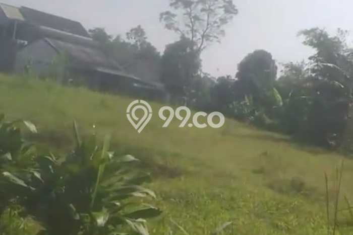 Kavling Tanah Dijual di Cicurug Sukabumi Spesifikasi 3500m2 Kavling Tanah Dijual di Cicurug Sukabumi Spesifikasi 3500m2