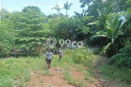 Tanah Kavling untuk Dijual di Pamulang Tangerang Selatan 3300m2 Tanah Kavling untuk Dijual di Pamulang Tangerang Selatan 3300m2
