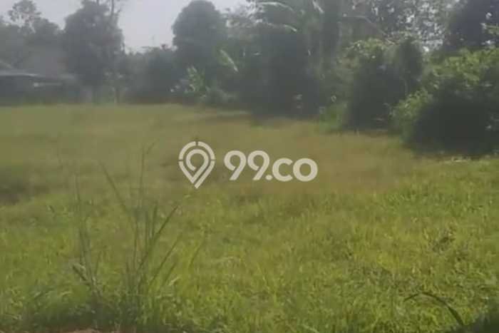 Kavling Tanah Dijual di Cicurug Sukabumi Spesifikasi 3500m2 Kavling Tanah Dijual di Cicurug Sukabumi Spesifikasi 3500m2