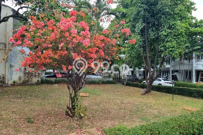 Jarang Ada! Rumah Kontrakan 5 Kamar Bagus Siap Huni Pejaten Jarang Ada! Rumah Kontrakan 5 Kamar Bagus Siap Huni Pejaten