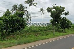Kavling Tanah Dijual di Sekampung Udik Lampung Timur Spesifikasi 1e+06m2 Kavling Tanah Dijual di Sekampung Udik Lampung Timur Spesifikasi 1e+06m2