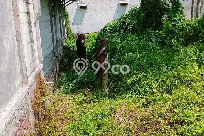 Kavling Tanah di Adiwerna Dijual Luas 6400m2 Legalitas SHM Kavling Tanah di Adiwerna Dijual Luas 6400m2 Legalitas SHM