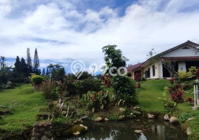 BEST CHOICE! Rumah area Cipanas, Luas 5000m² Bangunan 500m² BEST CHOICE! Rumah area Cipanas, Luas 5000m² Bangunan 500m²