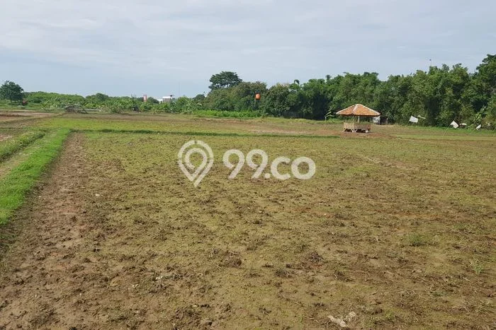 Tanah Dijual Lokasi Karawang Barat, Karawang Luas 1m2 Legalitas Aman Tanah Dijual Lokasi Karawang Barat, Karawang Luas 1m2 Legalitas Aman