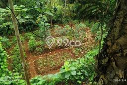 Tanah untuk Dijual di Cisarua Bogor Luas 6000m2 Tanah untuk Dijual di Cisarua Bogor Luas 6000m2