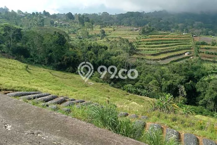 Tanah Kavling di Baturiti Dijual dengan Luas 30300m2 Tanah Kavling di Baturiti Dijual dengan Luas 30300m2