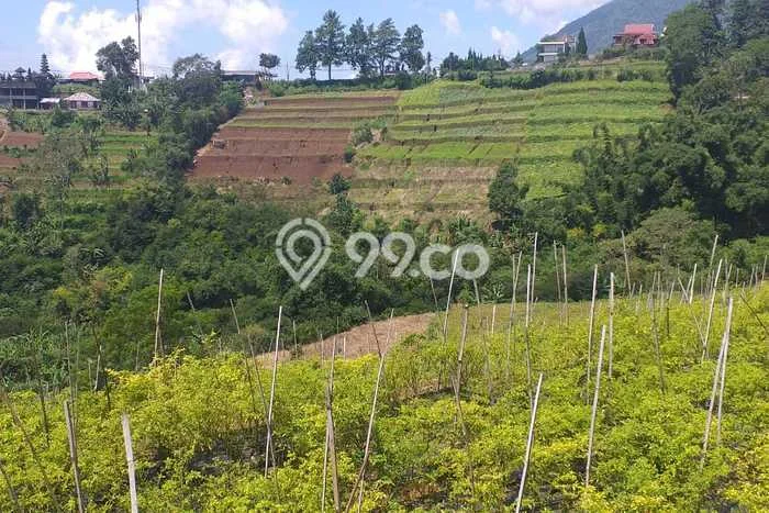 Tanah Kavling di Baturiti Dijual dengan Luas 30300m2 Tanah Kavling di Baturiti Dijual dengan Luas 30300m2