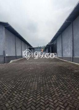 Gudang Dijual Lokasi Stratagis di Singosari Malang Cocok untuk Bisnis Gudang Dijual Lokasi Stratagis di Singosari Malang Cocok untuk Bisnis