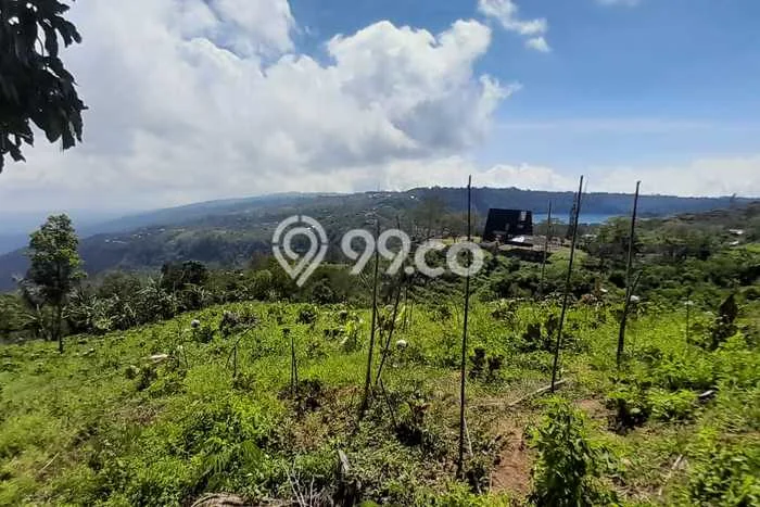 Tanah Dijual Area Strategis di Munduk Buleleng 18850m2 Tanah Dijual Area Strategis di Munduk Buleleng 18850m2