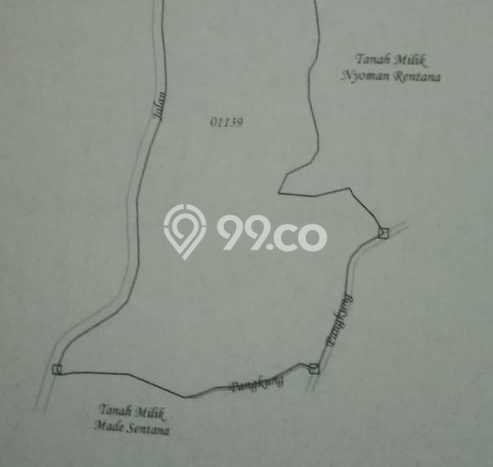 Tanah Dijual Lokasi Buleleng, Buleleng Luas 110000m2 Legalitas Aman Tanah Dijual Lokasi Buleleng, Buleleng Luas 110000m2 Legalitas Aman
