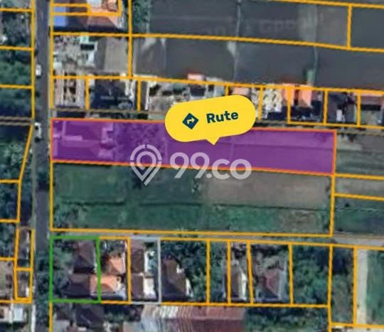 Tanah Strategis Disewakan di Ubud Gianyar Seluas 4893m2 Tanah Strategis Disewakan di Ubud Gianyar Seluas 4893m2