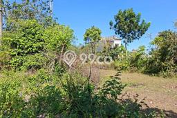 Tanah Dijual di Badung Seluas 1250m2 Strategis Tanah Dijual di Badung Seluas 1250m2 Strategis