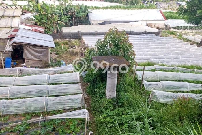 Tanah Disewakan Lokasi Tabanan Seluas 5000m2 Strategis dan Aman Tanah Disewakan Lokasi Tabanan Seluas 5000m2 Strategis dan Aman
