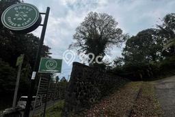 Tanah Kavling di Tabanan Dijual dengan Luas 20000m2 Tanah Kavling di Tabanan Dijual dengan Luas 20000m2