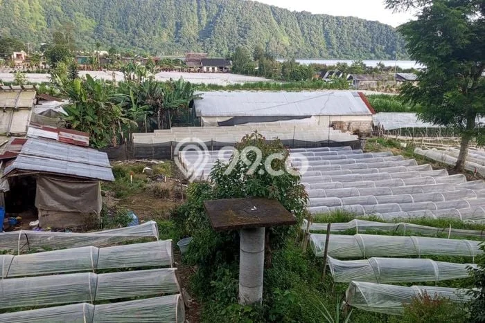 Tanah Disewakan Lokasi Tabanan Seluas 5000m2 Strategis dan Aman Tanah Disewakan Lokasi Tabanan Seluas 5000m2 Strategis dan Aman
