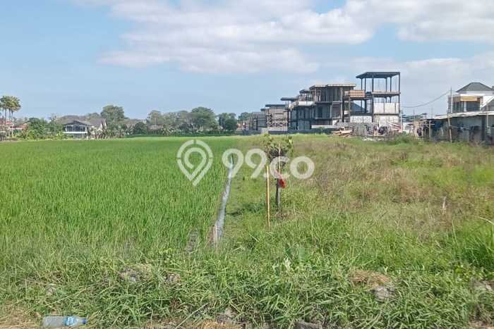 Kavling Tanah Lokasi Strategis di Mengwi, Badung Disewakan 13000m2 Kavling Tanah Lokasi Strategis di Mengwi, Badung Disewakan 13000m2