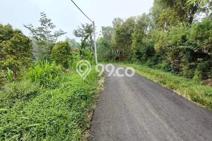 Kavling Tanah Dijual di Buleleng, Buleleng, Luas 30000m2 Area Strategis Kavling Tanah Dijual di Buleleng, Buleleng, Luas 30000m2 Area Strategis