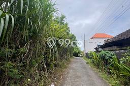 Lahan Disewakan Lokasi Canggu Badung Luas 1220m2 Lahan Disewakan Lokasi Canggu Badung Luas 1220m2
