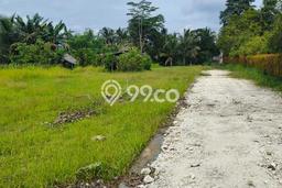 Tanah Kavling untuk Dijual di Mengwi Badung 2325m2 Tanah Kavling untuk Dijual di Mengwi Badung 2325m2