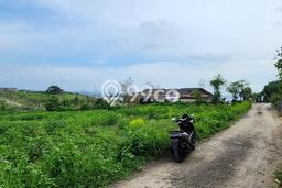 Dijual Tanah 3600m2 di Beraban, Tabanan Dijual Tanah 3600m2 di Beraban, Tabanan