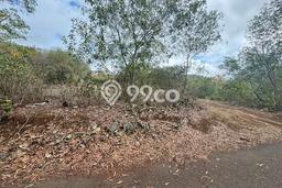 Tanah Kavling Dijual di Badung dengan Spesifikasi 34296m2 Tanah Kavling Dijual di Badung dengan Spesifikasi 34296m2