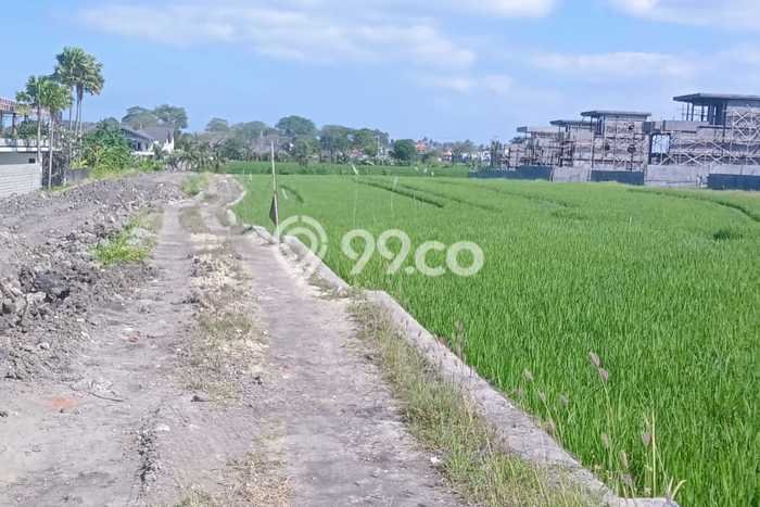 Kavling Tanah Lokasi Strategis di Mengwi, Badung Disewakan 13000m2 Kavling Tanah Lokasi Strategis di Mengwi, Badung Disewakan 13000m2